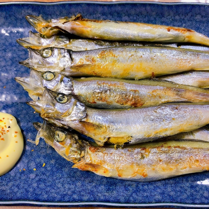 カリッ！ふわっ！子持ちししゃもの美味しい焼き方